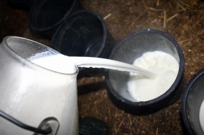 Adulteration of milk and milk products in full swing in several parts of old city of Hyderabad. - Sakshi Post