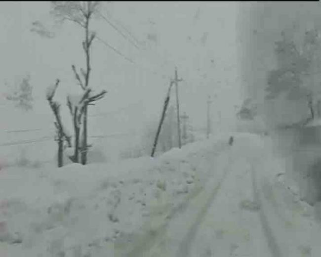 Heavy snowfall in Kashmir - Sakshi Post