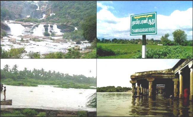 A collage of the Thamirabarani river which is in the eye of a controversy with locals protesting the entry of Coca cola and Pepsi as it will destroy the river and the eco system. - Sakshi Post