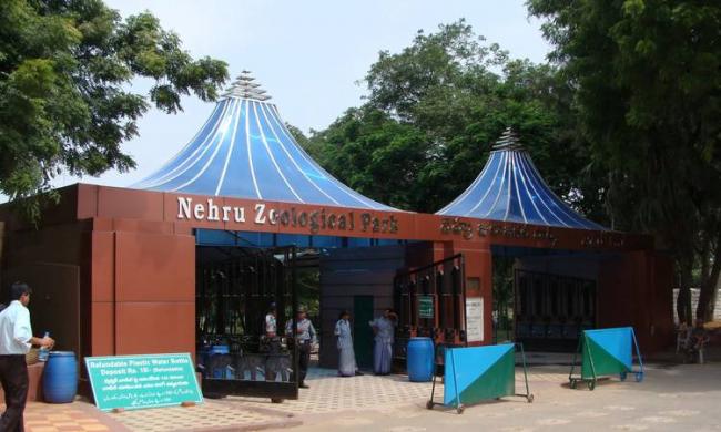 Nehru Zoological Park - Sakshi Post