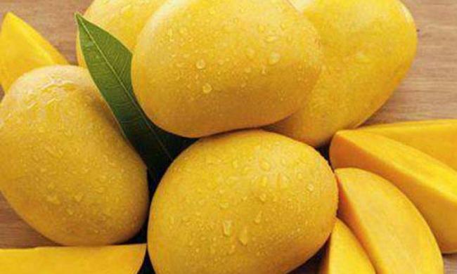The Geographical Indication tag makes Andhra Pradesh the proprietor of the variety known for its sweetness - Sakshi Post