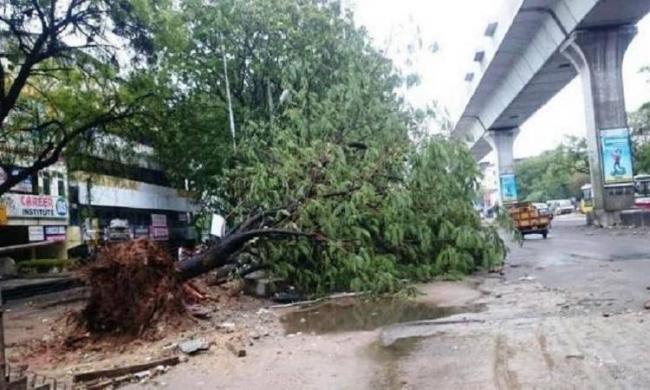The city was thrown out gear with heavy rainfall and gales on Tuesday and Wednesday - Sakshi Post