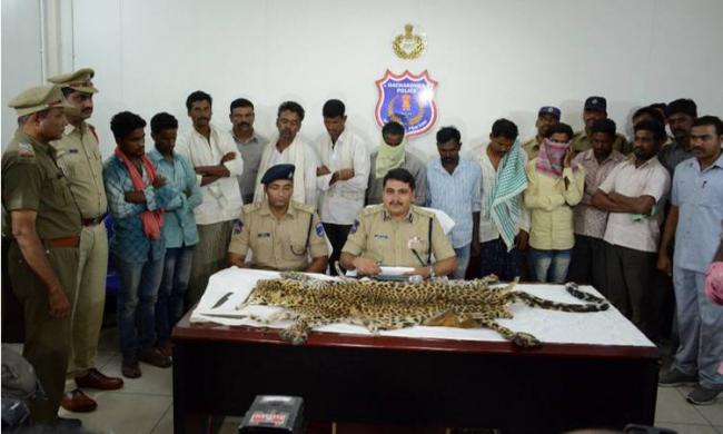 Rachakonda Police Commissioner produces the leopard skin killed in Nirmal district - Sakshi Post