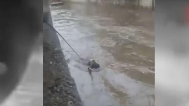 The man, who accidentally slipped into the nala at Dwaraka Nagar was pulled by the gushing water, even after the several rescue attempts - Sakshi Post