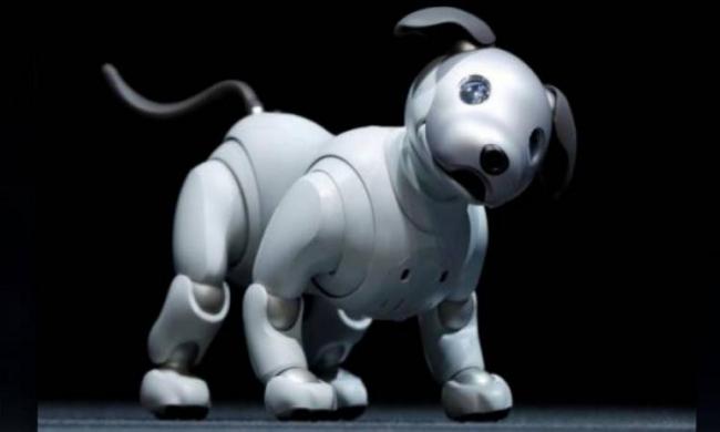 AIBO is billed as a pet that behaves like a real dog using artificial intelligence (AI) to learn and interact with its owner and surroundings - Sakshi Post