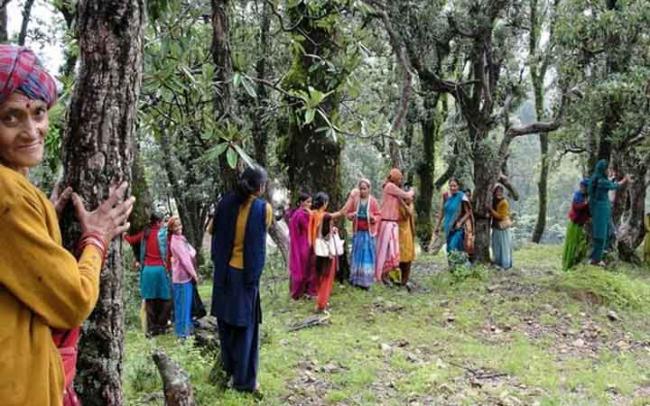 Jamuna’s clear understanding of the issue soon trickled down to the other women and even men in her village.(Representational Image) - Sakshi Post