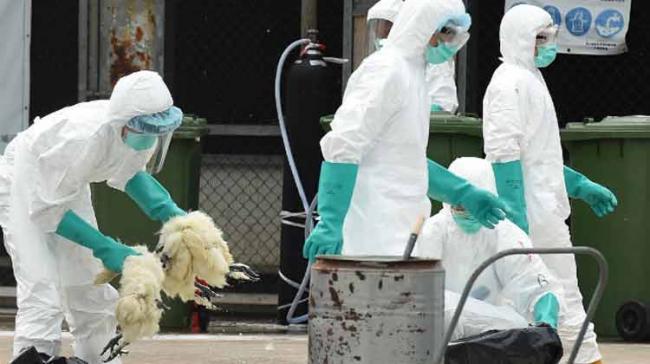 Prime Minister Lee Nak-yon urged the Ministry to use all available resources to prevent the spread of the virus, such as implementing a ban on moving livestock between places and disinfecting farms. - Sakshi Post