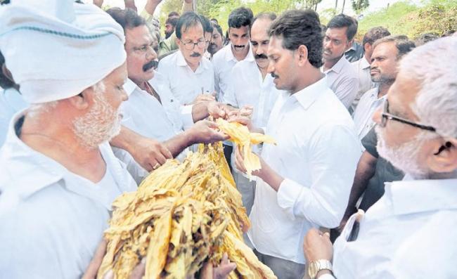 YS Jagan Mohan Reddy interacting with tobacco farmers. - Sakshi Post