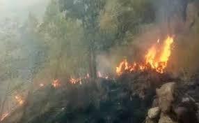 Nine trekkers have died in a forest fire on the Kurangani Hills in Tamil Nadu - Sakshi Post