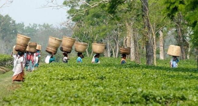 Representational Image Representational Image - Sakshi Post