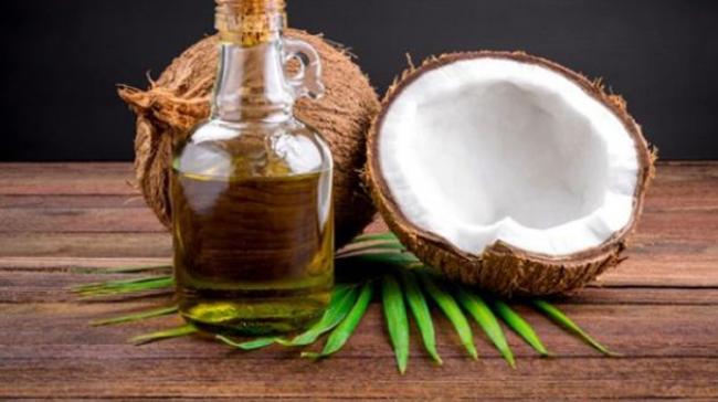 Coconut Oil A Magic Potion - Sakshi Post