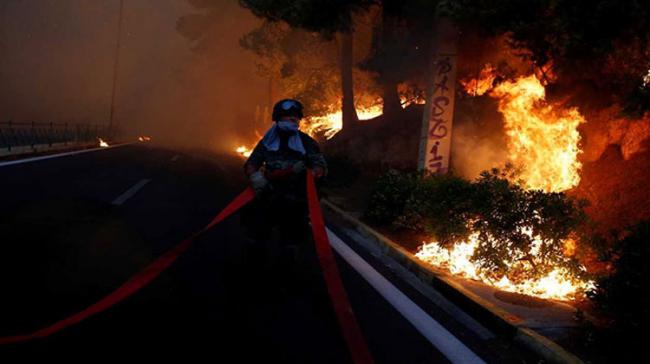 Greece Wildfire - Sakshi Post
