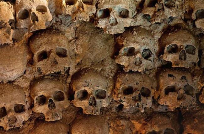 166 Human Skulls 166 Human Skulls - Sakshi Post