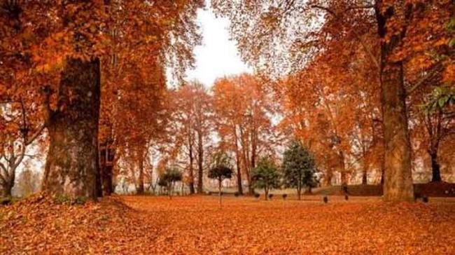 Autumn Arrives In Kashmir In All Its Glory - Sakshi Post