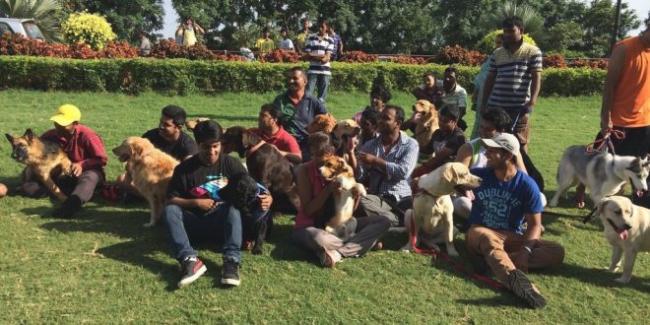 GHMC  Dog Park In Kondapur - Sakshi Post