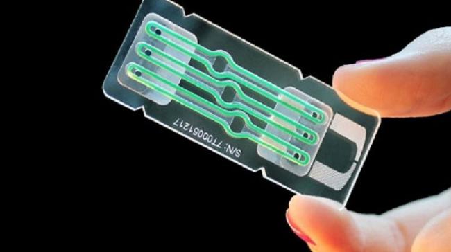 Organ on a chip Organ on a chip - Sakshi Post