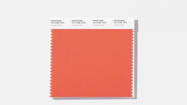 2019 Color Of The Year: Living Coral - Sakshi Post