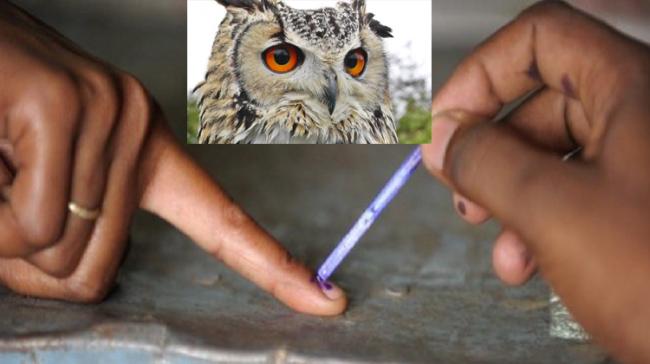 Telangana Politicians Purchased Owls To Bring Misfortune To Opponents In Elections? Telangana Politicians Purchased Owls To Bring Misfortune To Opponents In Elections? - Sakshi Post