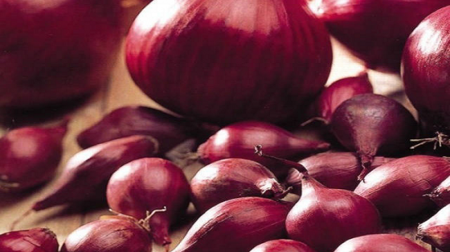 In November, 50 per cent of the onion that arrived in wholesale mandis in the state comprised largely stored onions. - Sakshi Post