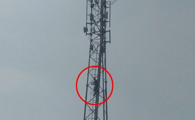 Man threatens to jump off cell tower - Sakshi Post