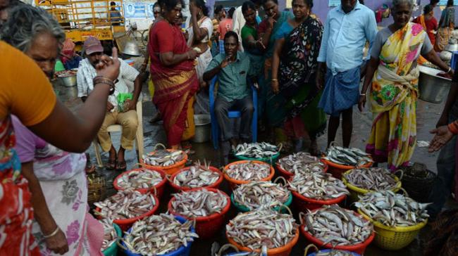 Bihar Lifts Andhra Pradesh Fish Ban - Sakshi Post