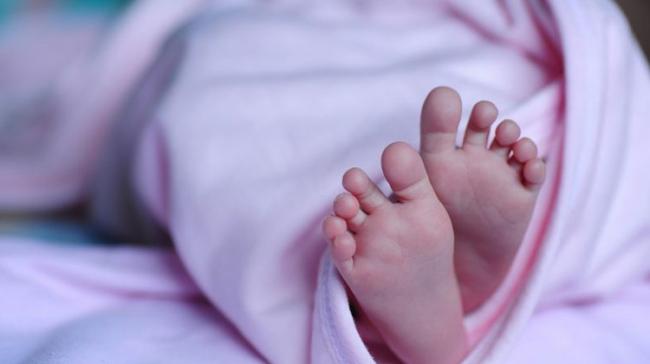Infants’ Death: UPHC Duty Doctors Terminated - Sakshi Post