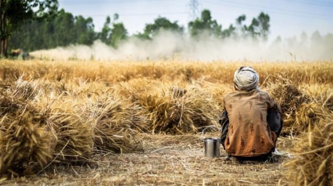 They had earlier said their target was to file 1,000 nominations.(Representational Image) They had earlier said their target was to file 1,000 nominations.(Representational Image) - Sakshi Post