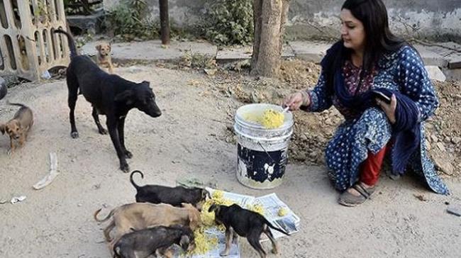 Representational Image Representational Image - Sakshi Post