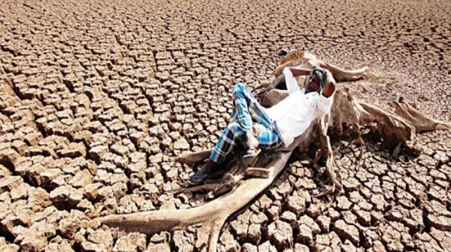 Anantapur Plagued By Drought, Desertification And Unemployment Anantapur Plagued By Drought, Desertification And Unemployment - Sakshi Post