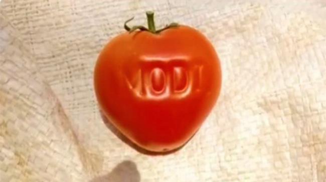 Modi Tomato - Sakshi Post