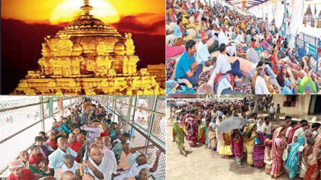 Tirumala: Devotees waiting in the line for darshan - Sakshi Post