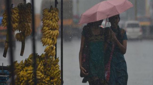 Representational Image Representational Image - Sakshi Post