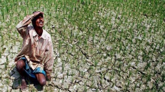 The rainfall deficit for the current month is at 64.4 per cent in AP - Sakshi Post