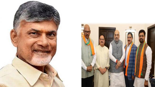 N Chandrababu Naidu, Inset : Amit Shah with TDP Rajya Sabha MPs - Sakshi Post