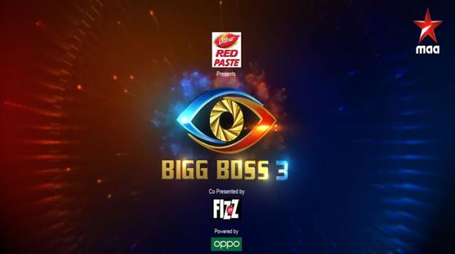 Bigg Boss 3 Telugu - Sakshi Post