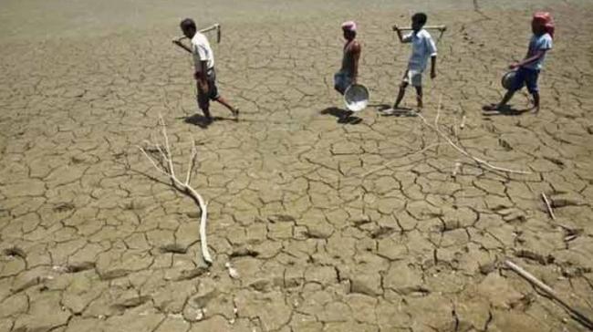 Andhra Pradesh Farmer Suicide Cases In 2014-19 - Sakshi Post