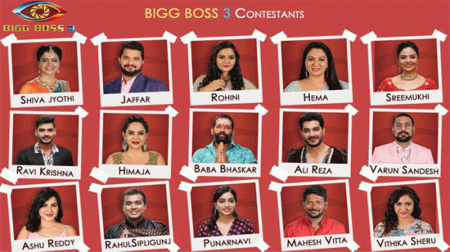 Contestants from Big Boss 3 - Sakshi Post