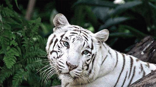 Representational image Representational image - Sakshi Post