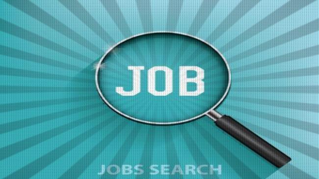 Job opportunities in Hyderabad - Sakshi Post