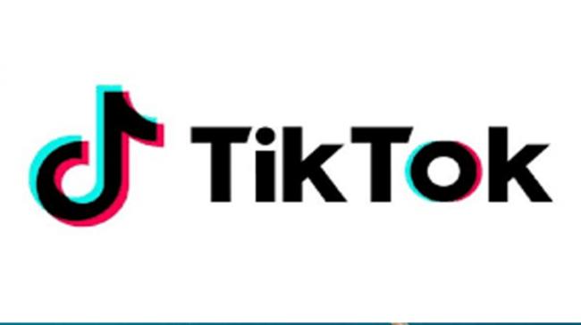 TikTok’s New Campaign Aims To Curb Suicide Rate in India - Sakshi Post