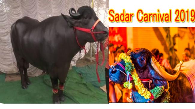 Sartaj Bull-  Image Source ANI&amp;amp;nbsp; Sadar Festival - Sakshi Post