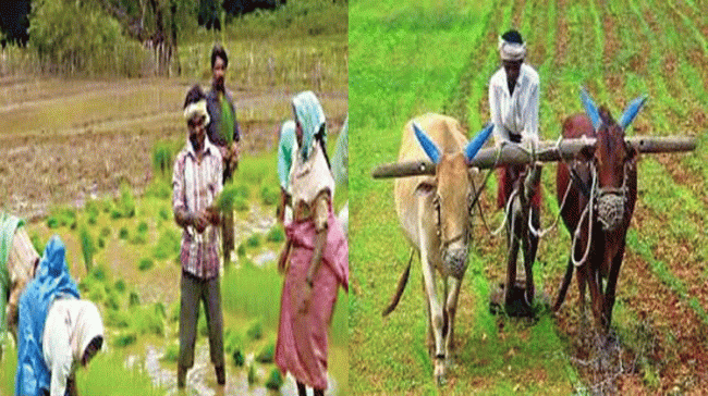 Tenant Farmers Are Eligible For YSR Rythu Bharosa Scheme : AP Govt Tenant Farmers Are Eligible For YSR Rythu Bharosa Scheme : AP Govt - Sakshi Post