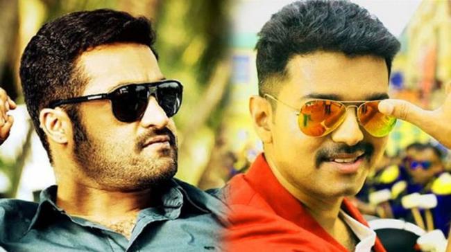 Jr NTR,Vijay Jr NTR,Vijay - Sakshi Post