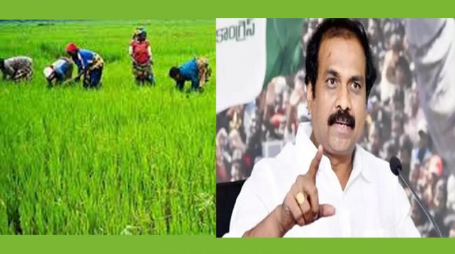 AP Minister for Agriculture, Kurasala Kannababu&amp;amp;nbsp; - Sakshi Post