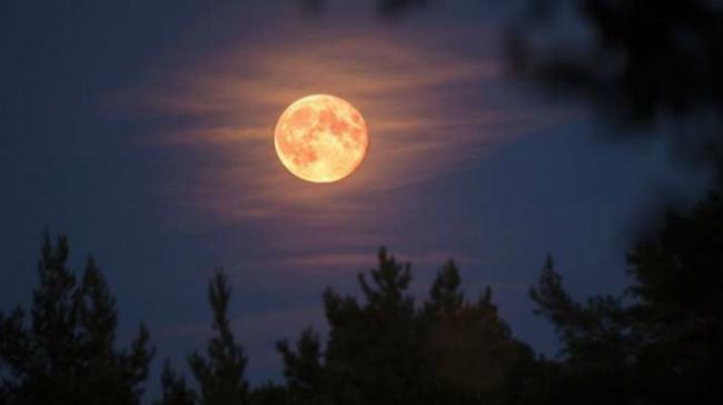 Super Pink Moon Representational Image Super Pink Moon Representational Image - Sakshi Post