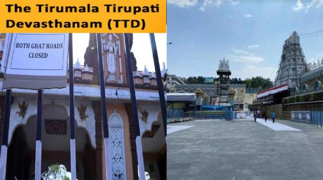 Tirumala during lockdown Tirumala during lockdown - Sakshi Post