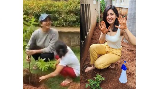 - Sakshi Post