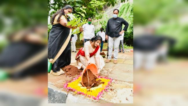 - Sakshi Post