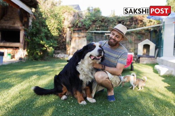 - Sakshi Post