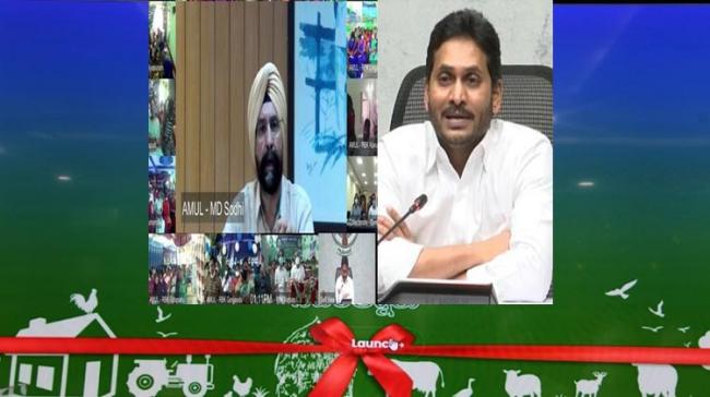 CM YS Jagan Mohan Reddy virtually launches AP Amul Project AP CM YS Jagan Mohan Reddy launches AP Amul Project in Guntur - Sakshi Post
